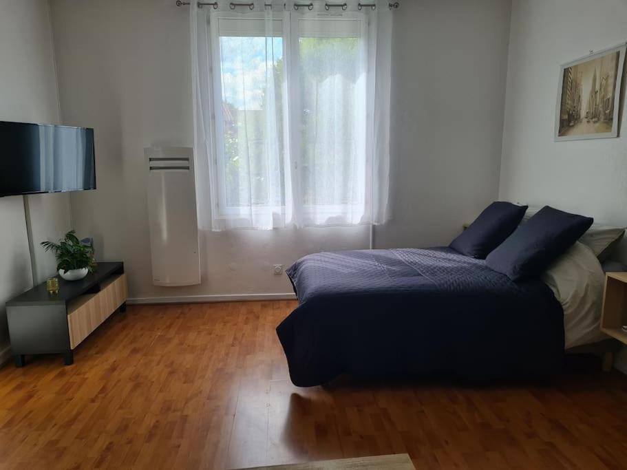 Studio Avec Terrasse Et Place De Parking Τουλούζη Εξωτερικό φωτογραφία