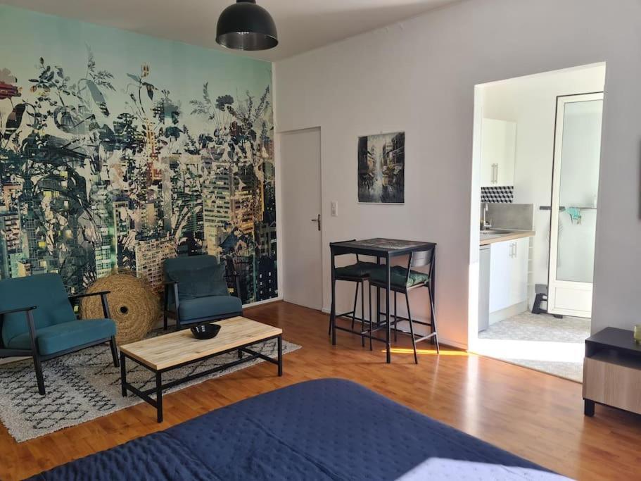 Studio Avec Terrasse Et Place De Parking Τουλούζη Εξωτερικό φωτογραφία